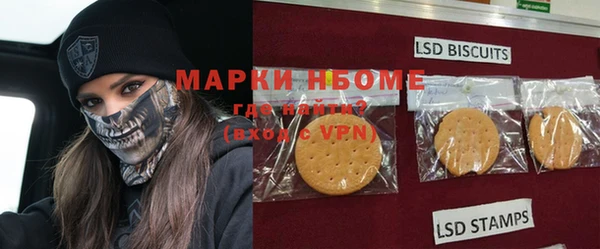 прущие грибы Верхний Тагил