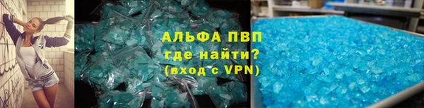 стаф Волоколамск