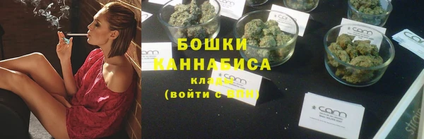 прущие грибы Верхний Тагил