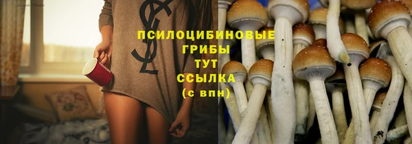 MDMA Богородицк