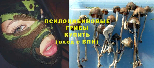 прущие грибы Верхний Тагил