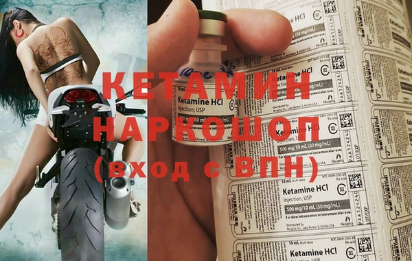 прущие грибы Верхний Тагил