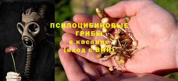 стаф Волоколамск