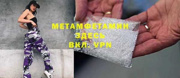 гидра Богородск