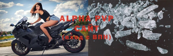 прущие грибы Верхний Тагил