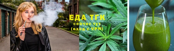 гидра Богородск