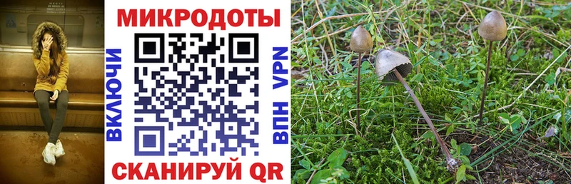Галлюциногенные грибы Psilocybine cubensis  купить наркотики цена  Верхняя Салда 